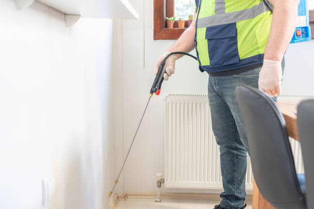 Best Affordable Pest Control Services  in Jamesport, NY